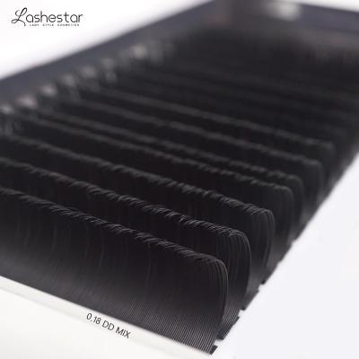 China Softest and Most Natural Mink Lashes Vendor's Korean Material Custom Eyelash Extension for sale