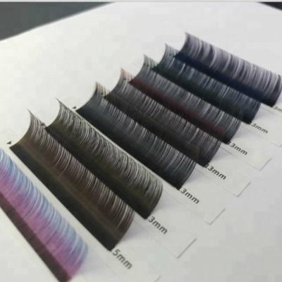 China Softest and Most Natural Wholesale Private Label Silk Color Lashes 0.07 Thickness Eyelash Sellers for sale