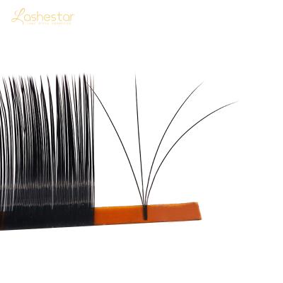 China Tapered Auto Fan Lashes Best Quality Synthetic Korean Easy Hair Fan Eyelash Extensions for sale