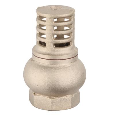 China General Spring Check Valve With SS Filter Brass Foot Valve for sale