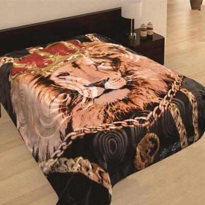 China 2 Ply Polyester Raschel Luxury Embossed Korean Twin Mink Winter Blankets For Adult 220*240cm Or Customized for sale