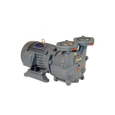 China Automotive Industry Model Iso9001 Custom High Pressure Industry Manufacturer Vacuum Pump for sale