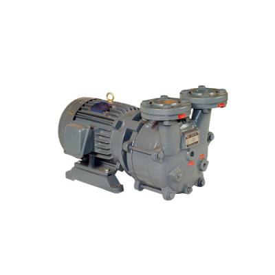 China Biotech Industry Manufacturer Wholesale Custom ISO9001 Model SWK-10 Single-Satge Liquid Ring Vacuum Pump for sale