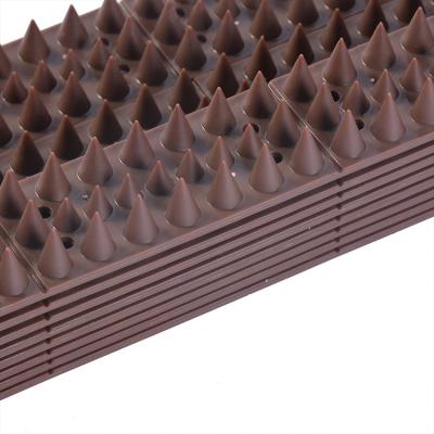 China Not Applicable Outdoor Anti Pigeon Anti Bird Thorn Plastic Window Fence Bird Spike for sale