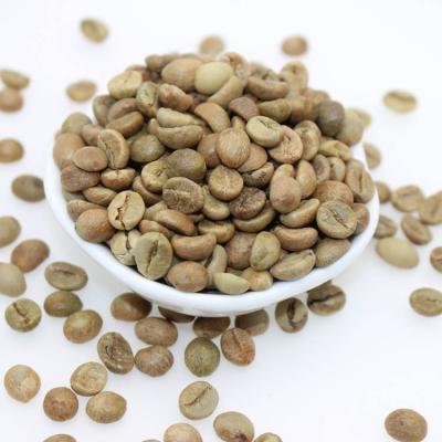 China factory supply arabica and robusta green coffee beans for sale the robusta green coffee beans for sale