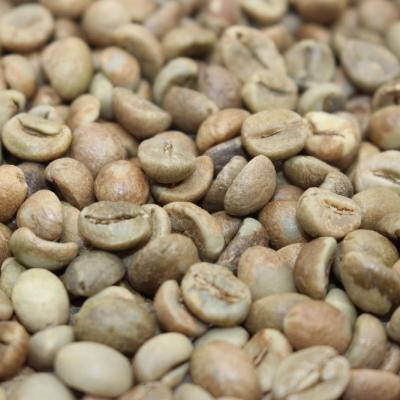 China Good quality arabica and robusta green beans robusta coffee beans for sale