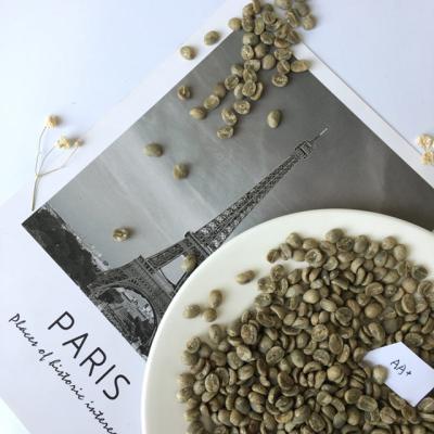 China Chinese Yunnan Green Coffee Beans, Arabica Type, Unroasted Coffee Beans Arabica Green Beans for sale