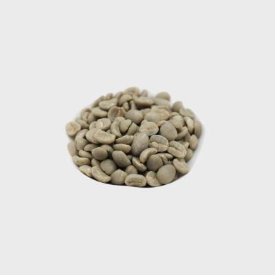 China export price high grade 16 coffee beans raw arabica green coffee bean for sale