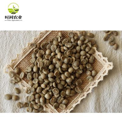 China Hot Sale Cheap Price Yunnan Unroasted Coffee Beans For Export 15-18 for sale