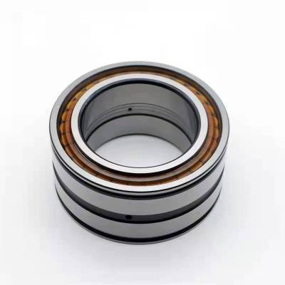 China Good quality full complement high load cylindrical roller bearing SL045044PP bearing for sale