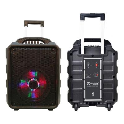 China RQSONIC PS08DR1-LED1 8 Inch 30W Wireless Powered Speaker Cart Rechargeable Build-in LED Pro Fantastic Light Audio Speaker for sale