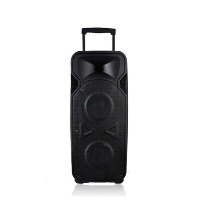 China Plastic Cabinet RQSONIC PMM210AQX 2*10 Inch Powered Portable Loudspeaker Speaker With Wireless MIC for sale