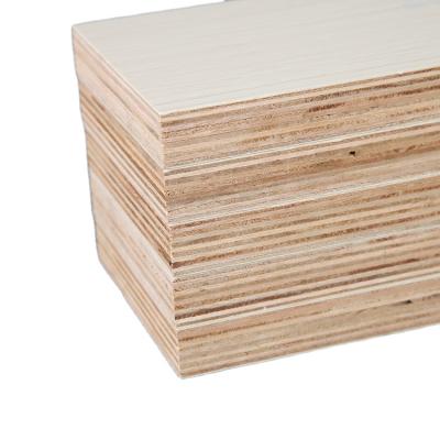 China Mold-proof plywood, poplar, 5-25mm paint free eco-friendly board can be customized for the whole house. Veneer size can be customized for for sale