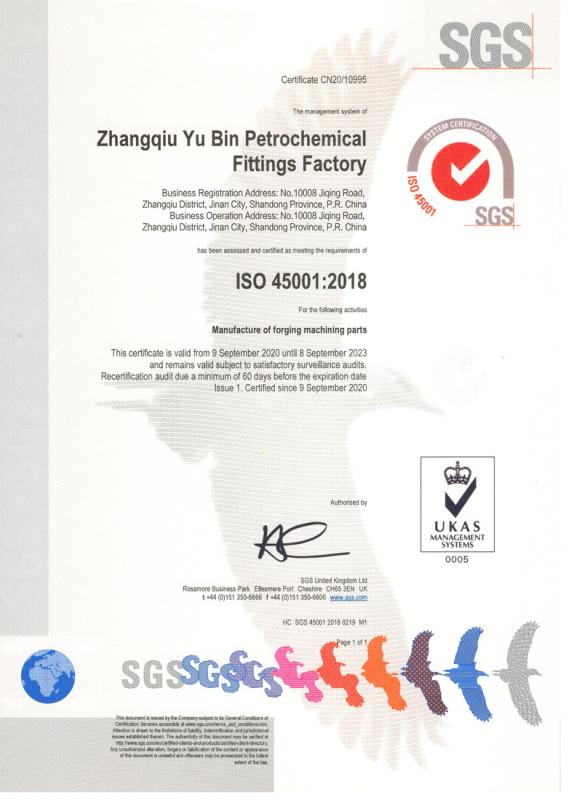 ISO 45001 - Zhangqiu Yu Bin Petrochemical Fittings Factory