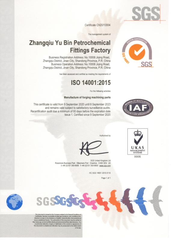 ISO14001 - Zhangqiu Yu Bin Petrochemical Fittings Factory