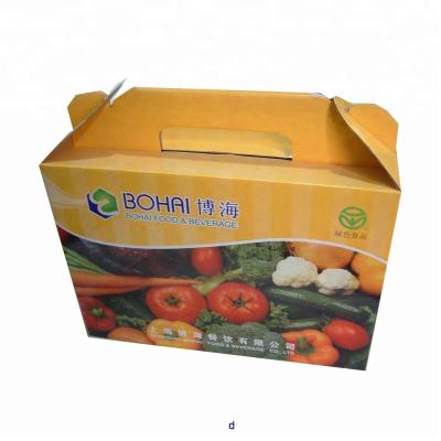 China Recyclable Custom Printed Corrugated Cardboard Box For Fresh Fruit Box Packaging With Plastic Handle for sale