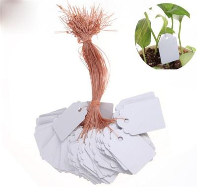 China Strip Line 500pcs Eco-friendly Tree Gardening Signs Hanging Tags Flower Lables Waterproof Plastic New Hot Use Plant for sale