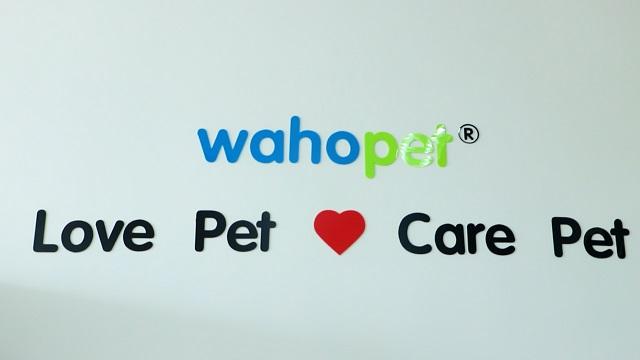 Verified China supplier - Wenzhou Waho Pet Products Electronic Commerce Co., Ltd.