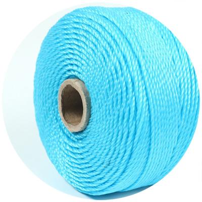 China china factory wholesale pe twine plastic twine for greenhouse plants for sale