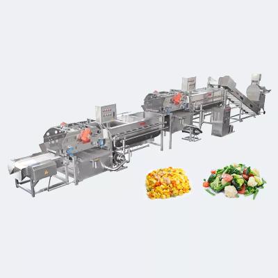 Chine Facile à utiliser 400kgkg/H industriels automatiques de machine de développement de légume fruit à vendre