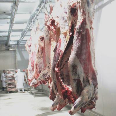 China ISO9001 CE Matadouro para Vacas Máquina de Aço Inoxidável 304 Pés de Vaca Máquina Depiladora à venda