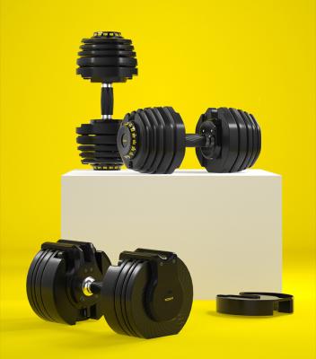 China Dumbell Sets BUNNYHI YL003 Adjustable Cheap Dumbbell Sets Gym Equipment Adjustable Dumbbell for sale