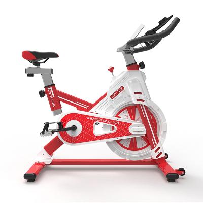 China Bunnyhi DGDC013 2020 Universal Home Gym Ftness Exercise Bike Indoor Exercise Bike for sale