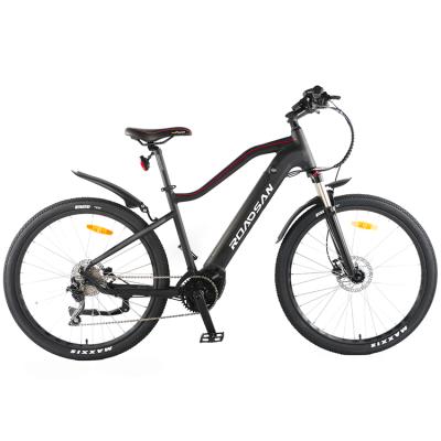 China Aluminum Alloy BunnyHi ZXC003 Professional Bicycle Electric Road Mountain Bike Electric Mountain Bike for sale