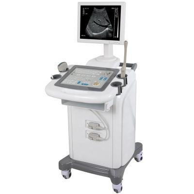 China Trolley 3D 4D Portable Medical Color Doppler Ultrasound Scanner Hospital Black / White CE Approved for sale