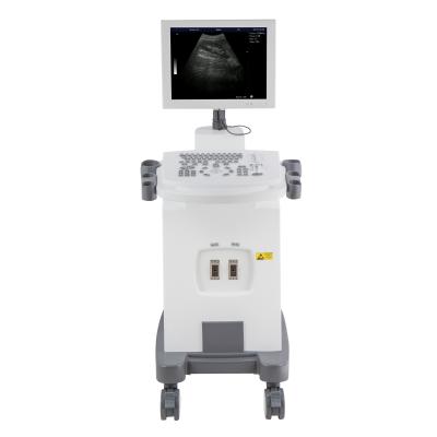 China Hot Selling Cheapest Metal Medical Equipment Portable Ultrasound Machine Instruments Cost With Probes For Human Pet Veterinary Veterinary for sale