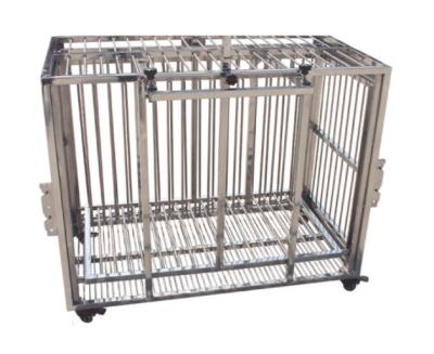 China Treatment Stainless Steel Pet Injection Cage For Dog zu verkaufen