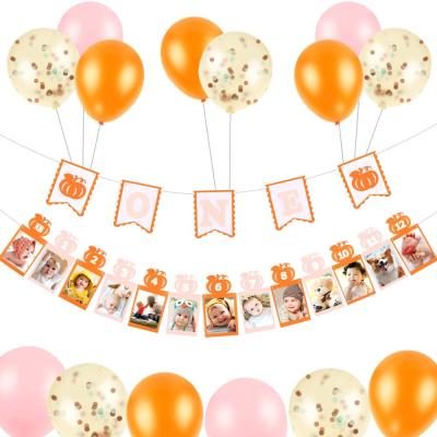 China Custom Photo Banner Happy Birthday Theme Baby Shower 1st Birthday Party Set Decoration Photo Banner for sale