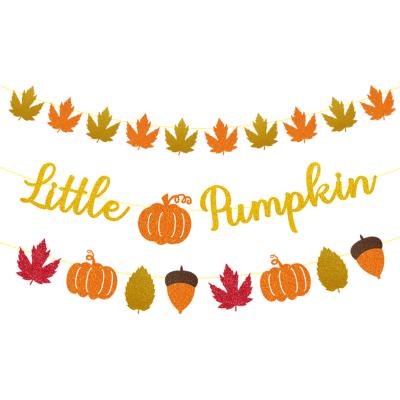 China Wall Decor Best Selling Customizable Size Style Party Decoration Supplies Happy Thanksgiving Banner Pumpkin Banner for sale