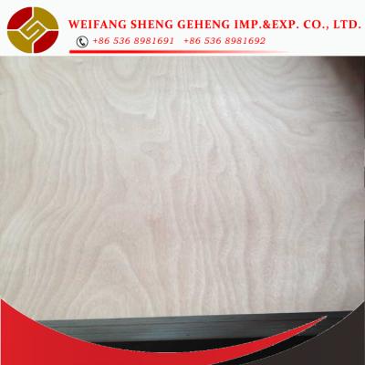 China 3mm 9mm 12mm 15mm 18mm Glue Pencil Indoor MR Cedar/Birch Faced Plywood/Commercial Plywood à venda