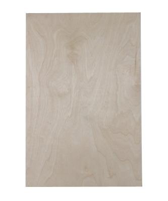 China Modern 18mm B/BB Laminated Baltic Birch Plywood For Cabinet Door for sale