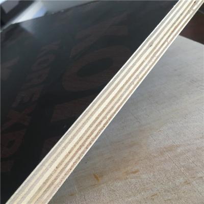 China Single Concrete Construction 15mm 18mm 21mm Hardwood Core Film Faced Construction Plywood Good Prices for sale