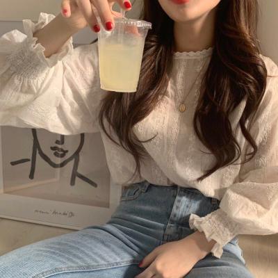 China Anti-pilling the latest Ecowalson lace crochet flower lantern long-sleeved shirt age-reducing blouse 2019 for sale