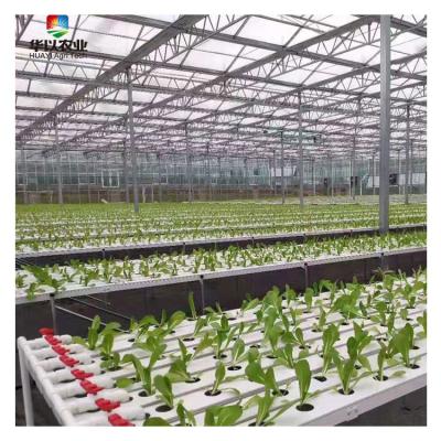 China Good Quality Leafy Vegetable Growing Hydroponic Growing Systems NFT Greenhouse Smart Hydroponics for sale