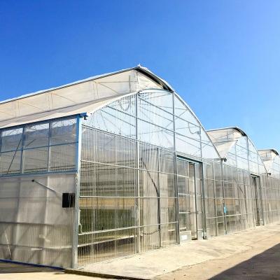 China Vegetable Control System Professional Commercial Agriculture Multi-Span Greenhouse Greenhouse Homes for sale