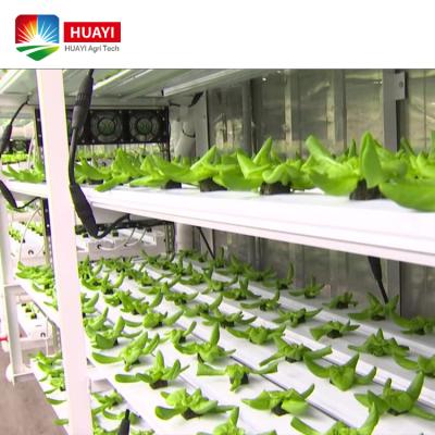 China Low Price Professional Vertical Farm High Yield Hydroponic Growing Systems With CE Certificate for sale