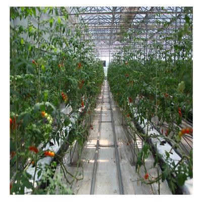 China Fruit Vegetable Flower Hydroponic Growing Systems for Tomato Substrate Cultivation Agriculture for sale