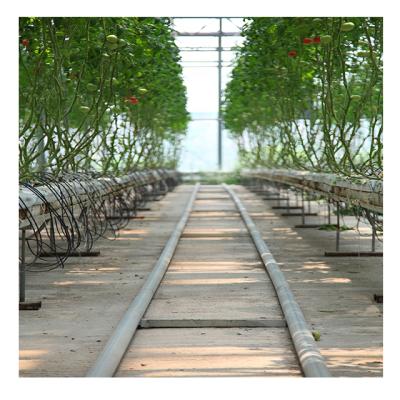 China Vegetable Flowers Best Quality Vertical Fruit Tomato Hydroponic System For Plant Growing for sale