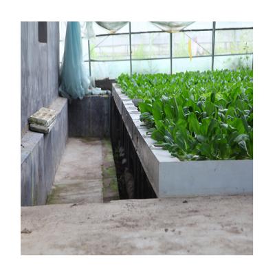 China Hot Sale Stable Structure Ebb And Flow Bench System Hydroponic Kits For Leafy Vegetables Without Soil Cultivation for sale