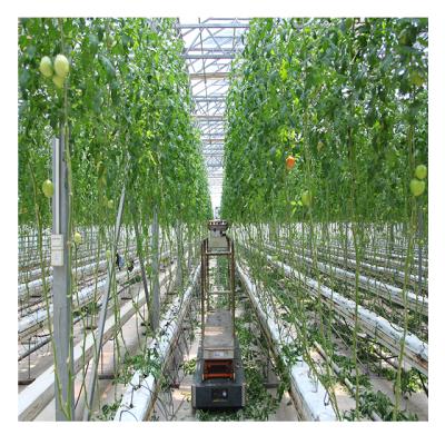 China Fruit vegetable nft cheap smart flowers hydroponics hydroponics irrigation&hydroponics system for soilless planting with complete equipment for sale