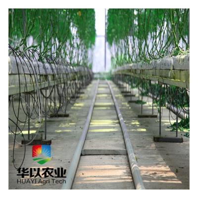 China Vegetable High Tech Commercial Greenhouses Growing Complete Hydroponic Systems for sale