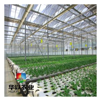 China Stable Structure Tempered Glass Greenhouse Tunnel Tunnel Lock Spring Greenhouse for sale