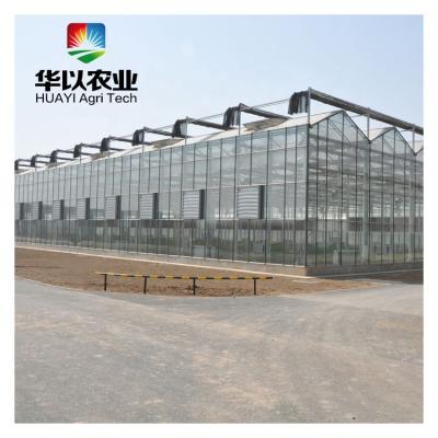 China Vegetable Climate Controller Commercial Glass Greenhouse For Sale for sale