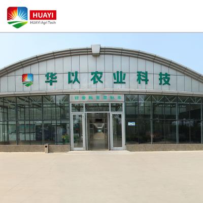 China Agriculture Manufacturer Huayi Company Provide Modern Greenhouse Various Cultivating Equipments With Planting Systems Tall for sale