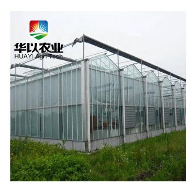 China Manufacturer Of Commercial Polycarbonate Plant Sheet Greenhouse Greenhouse Flowers Fruit Green House For Vegetables Fruits And Flowers for sale