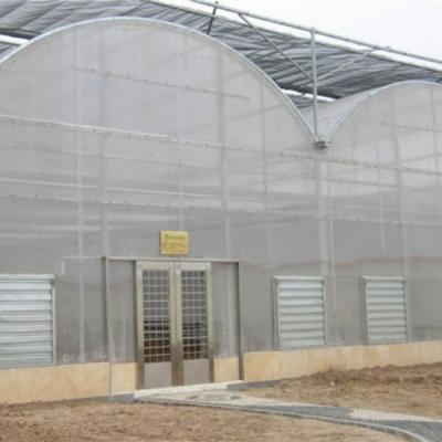 China Stable Structure Multispan Polycarbonate Sheet Greenhouse for sale